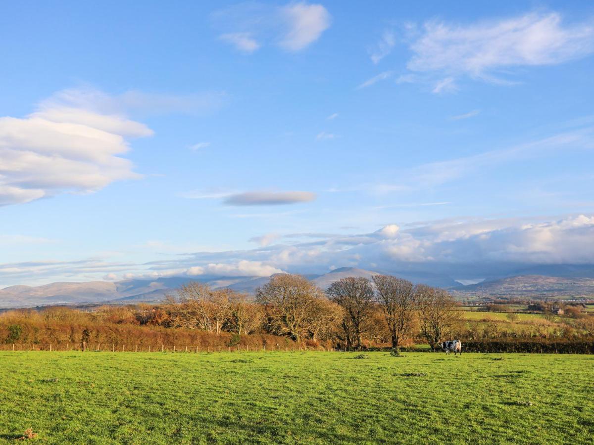 Y Goedwig Appartement Llanfairpwllgwyngyll Buitenkant foto